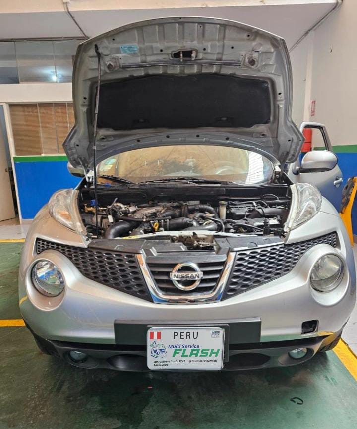 nisan juke